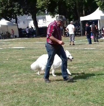 Divine idylle de l'aige de la tournelle - 1er EXCELLENT