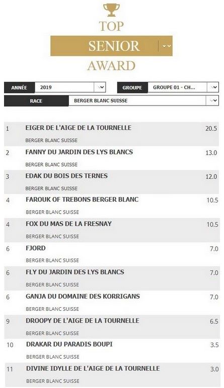 Divine idylle de l'aige de la tournelle - 11e MEILLEUR BERGER BLANC SUISSE SENIOR 2019