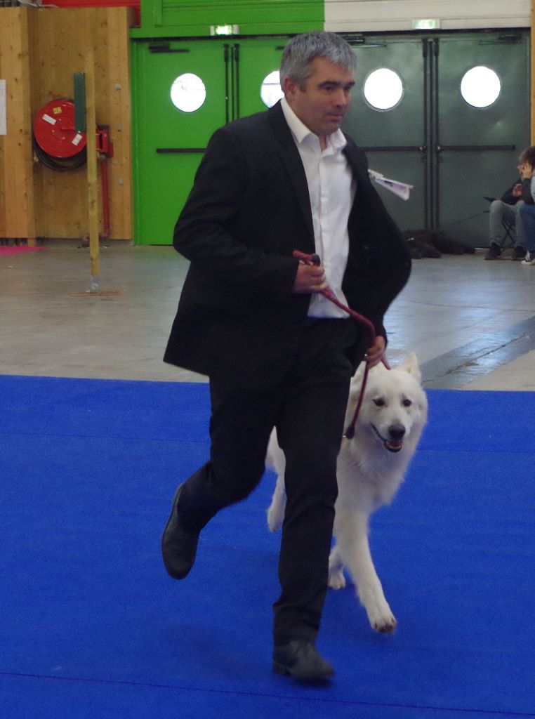 Drakar du paradis boupi - 1er EXCELLENT / MEILLEUR VETERAN