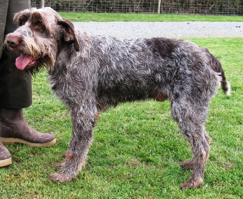Publication : du moulin de la ramiere Auteur : blanquiot