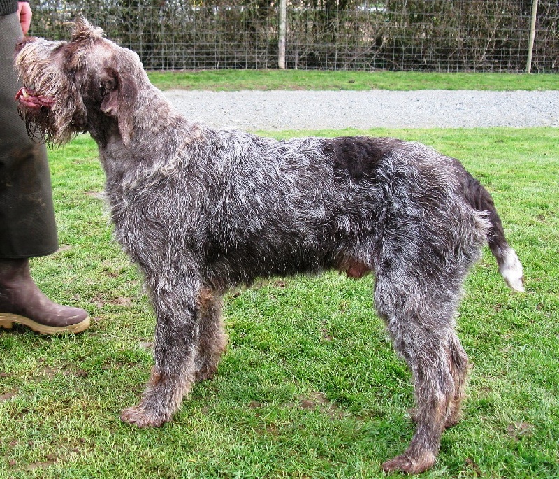Publication : du moulin de la ramiere Auteur : blanquiot