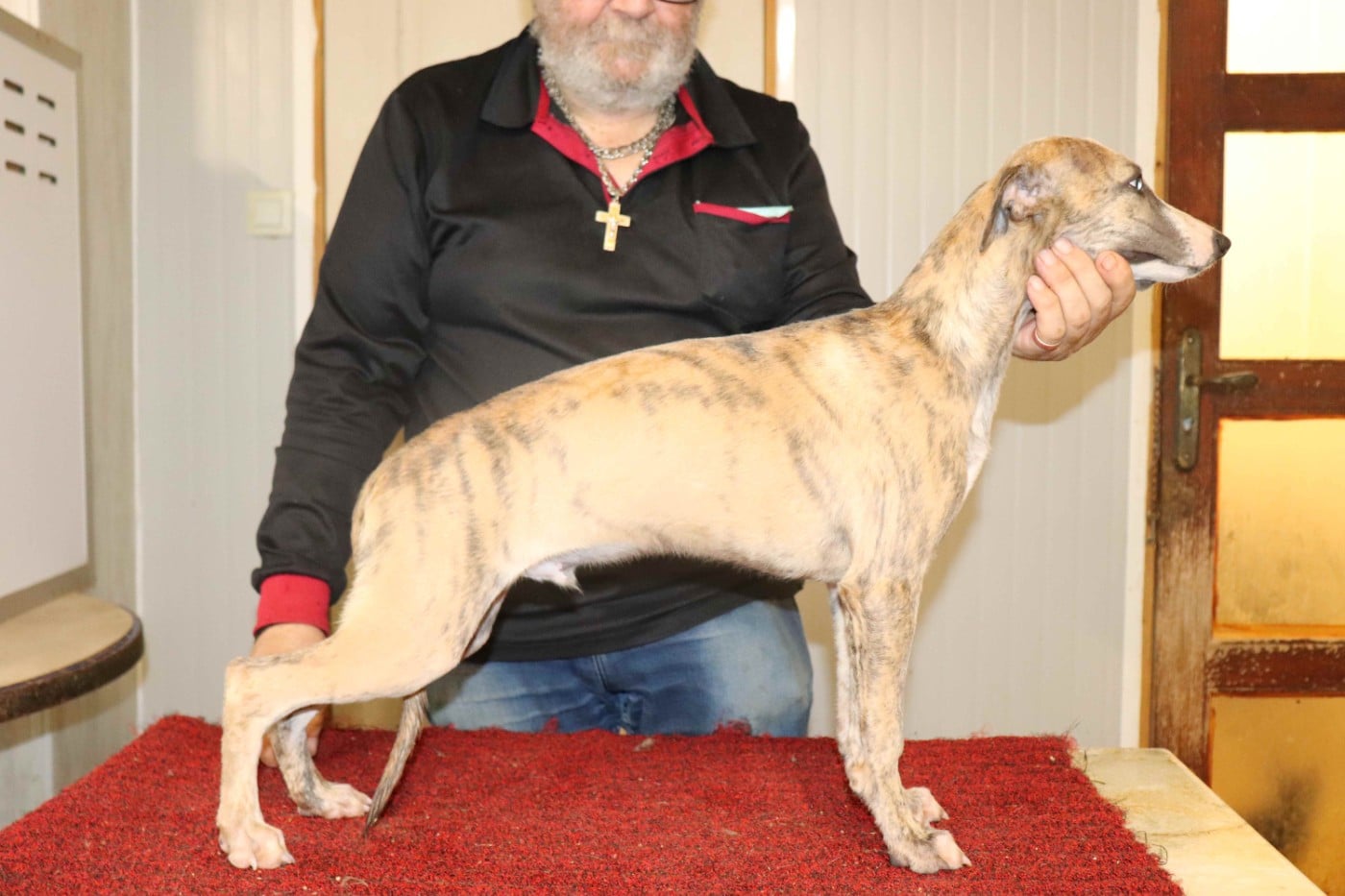 Publication : von Hoëhenzoller Auteur : Priscillia DA COSTA