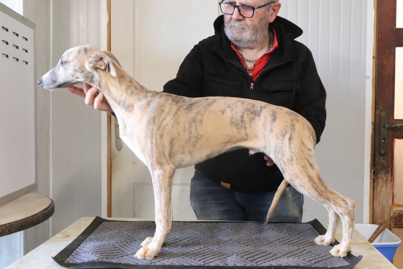 Publication : von Hoëhenzoller Auteur : Priscillia DA COSTA