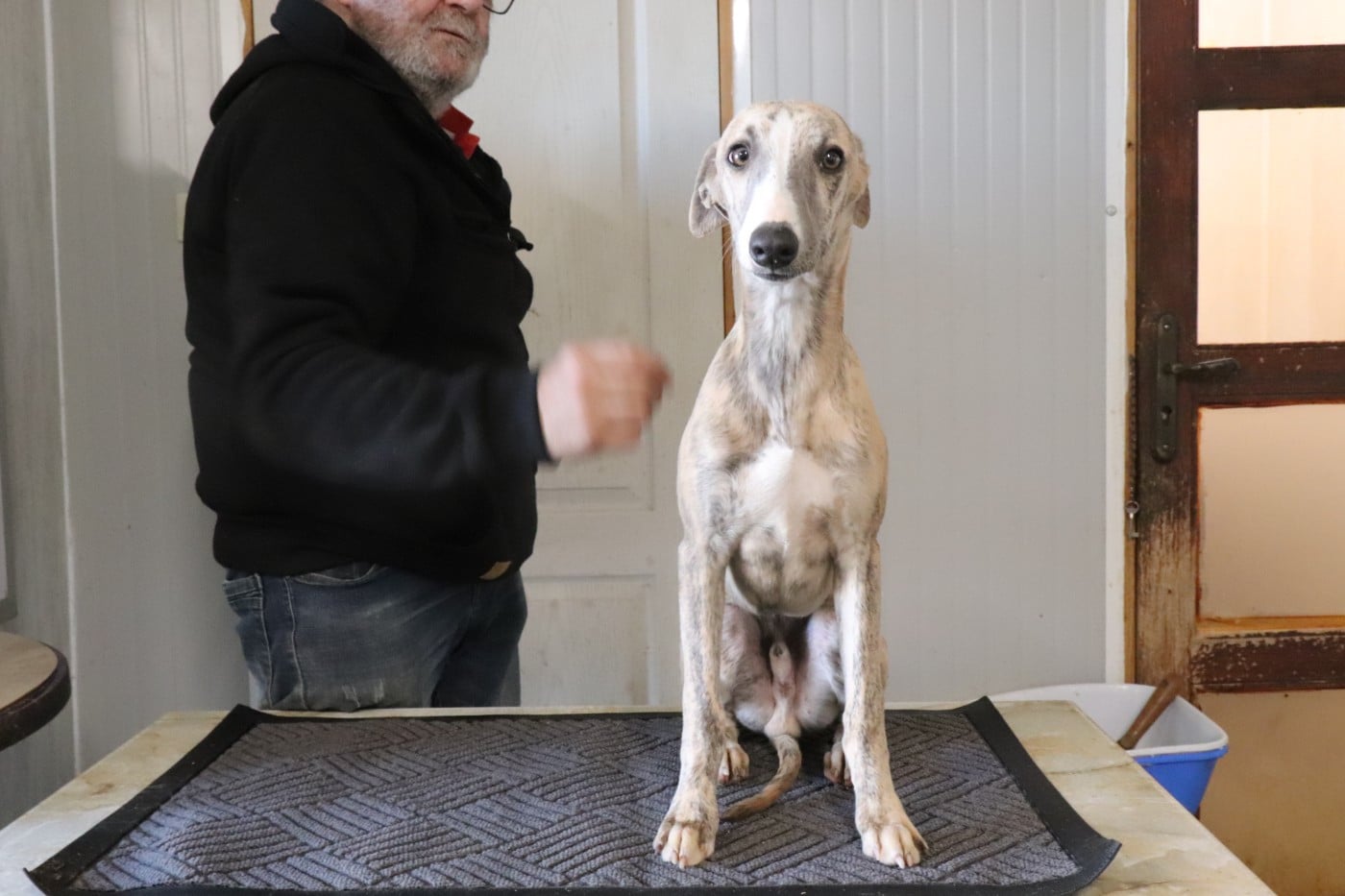 Publication : von Hoëhenzoller Auteur : Priscillia DA COSTA