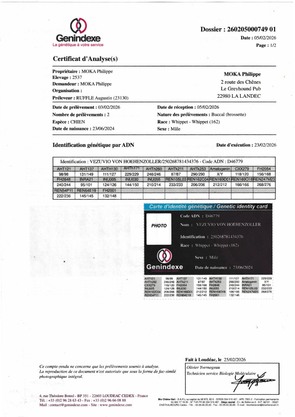 Vezuvio von Hoëhenzoller