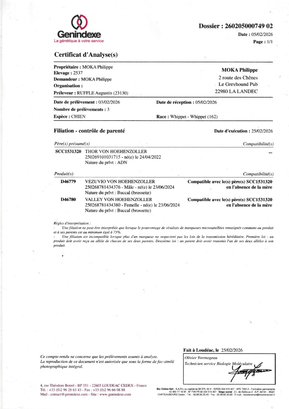 Vezuvio von Hoëhenzoller