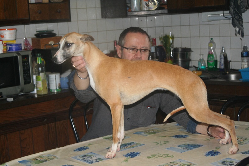 Gwladys von Hoëhenzoller