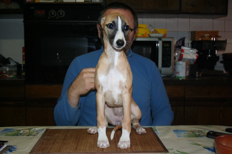 Gwladys von Hoëhenzoller