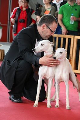 Publication : von Hoëhenzoller Auteur : Marie Lécuyer