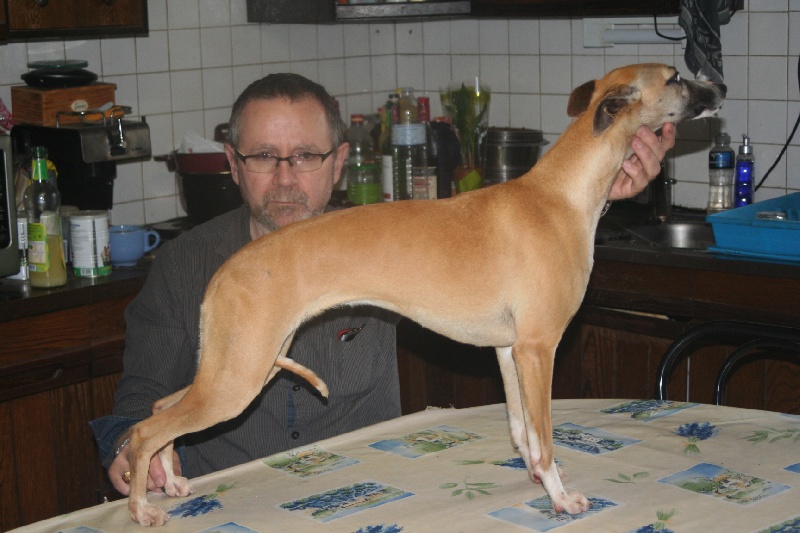 Gwladys von Hoëhenzoller