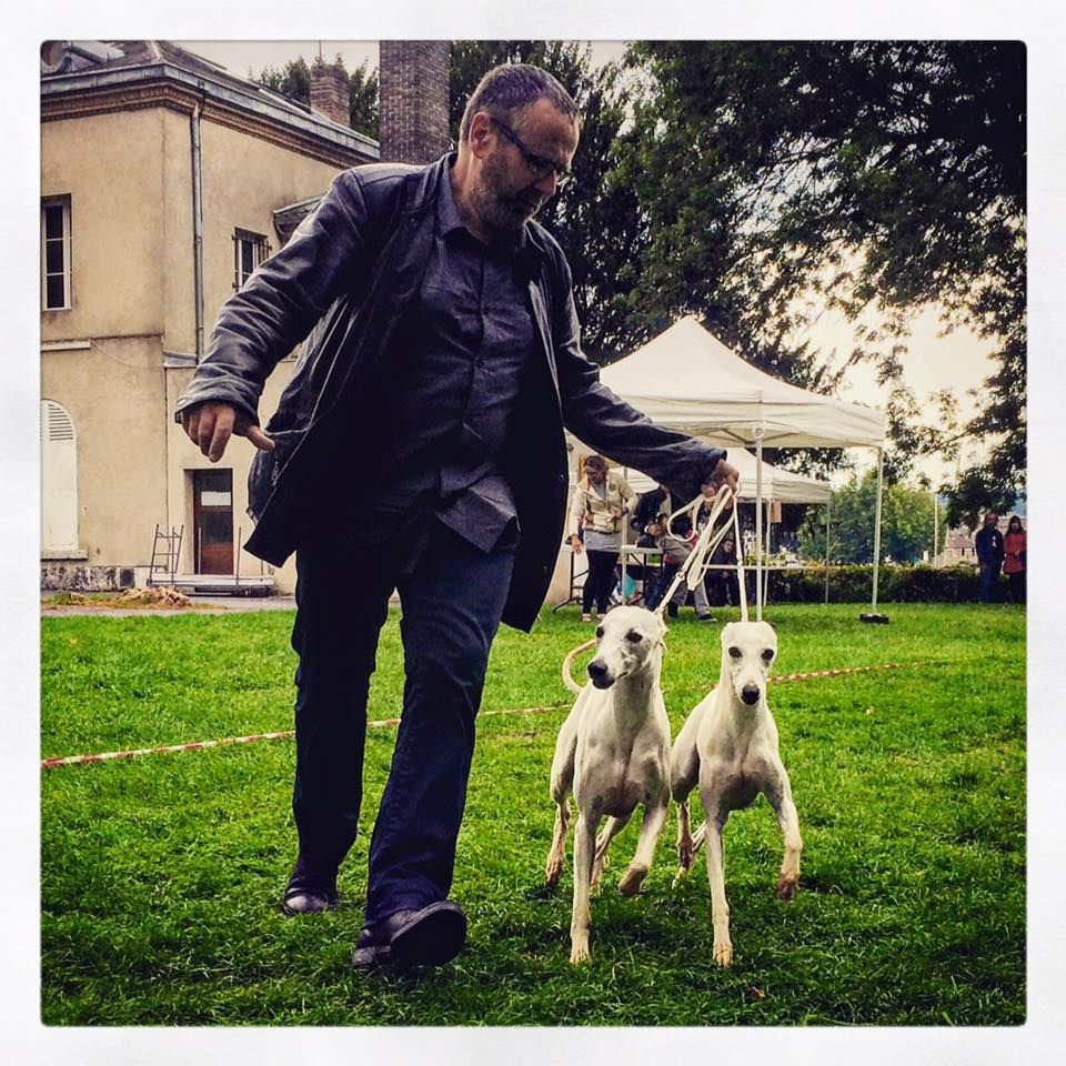 Publication : von Hoëhenzoller Auteur : Marie Lécuyer