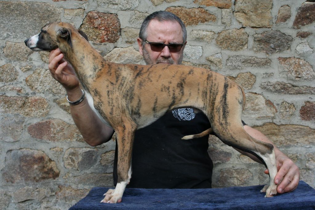 Neptune von Hoëhenzoller