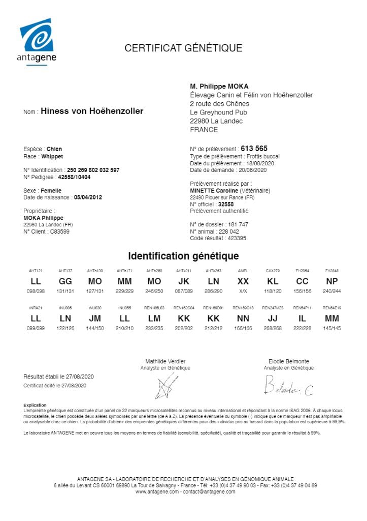 Publication : von Hoëhenzoller Auteur : Sarah Allard