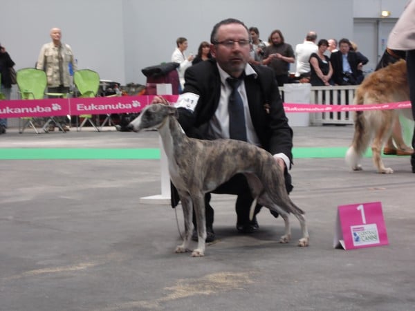 Publication : von Hoëhenzoller Auteur : Sarah Allard