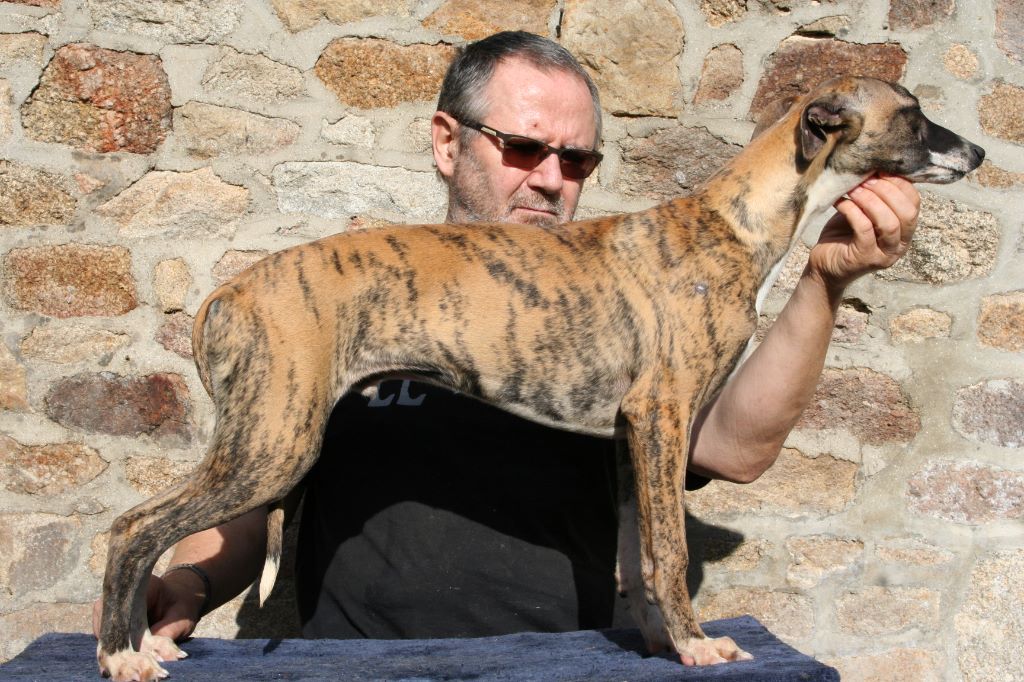 Neptune von Hoëhenzoller