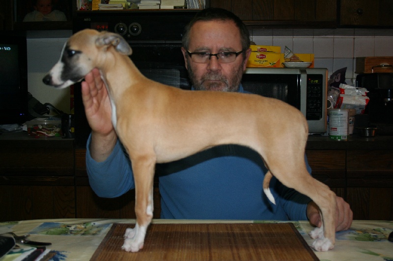 Gwladys von Hoëhenzoller