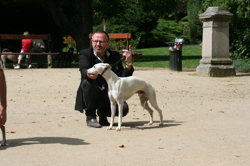 Iceberg von Hoëhenzoller - 1er Exc. CACS/6