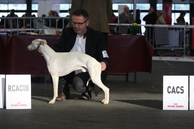 Iceberg von Hoëhenzoller - 2ème Excellent classe ouverte - RCACS - RCACIB