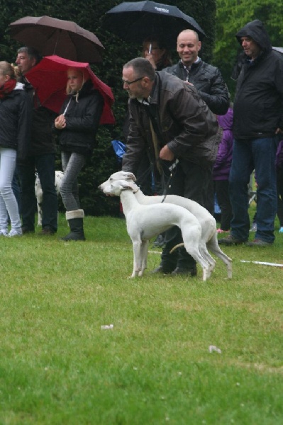 Ivoire von Hoëhenzoller - 3ème Exc. Classe jeune
