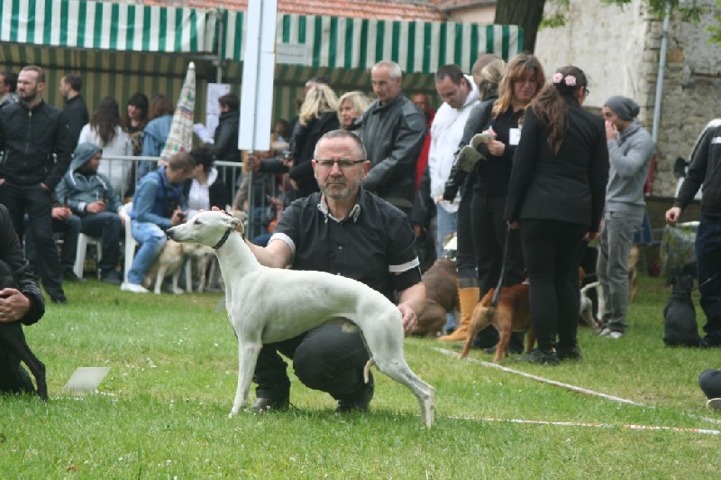 Iceberg von Hoëhenzoller - 1er Exc./4 classe jeune