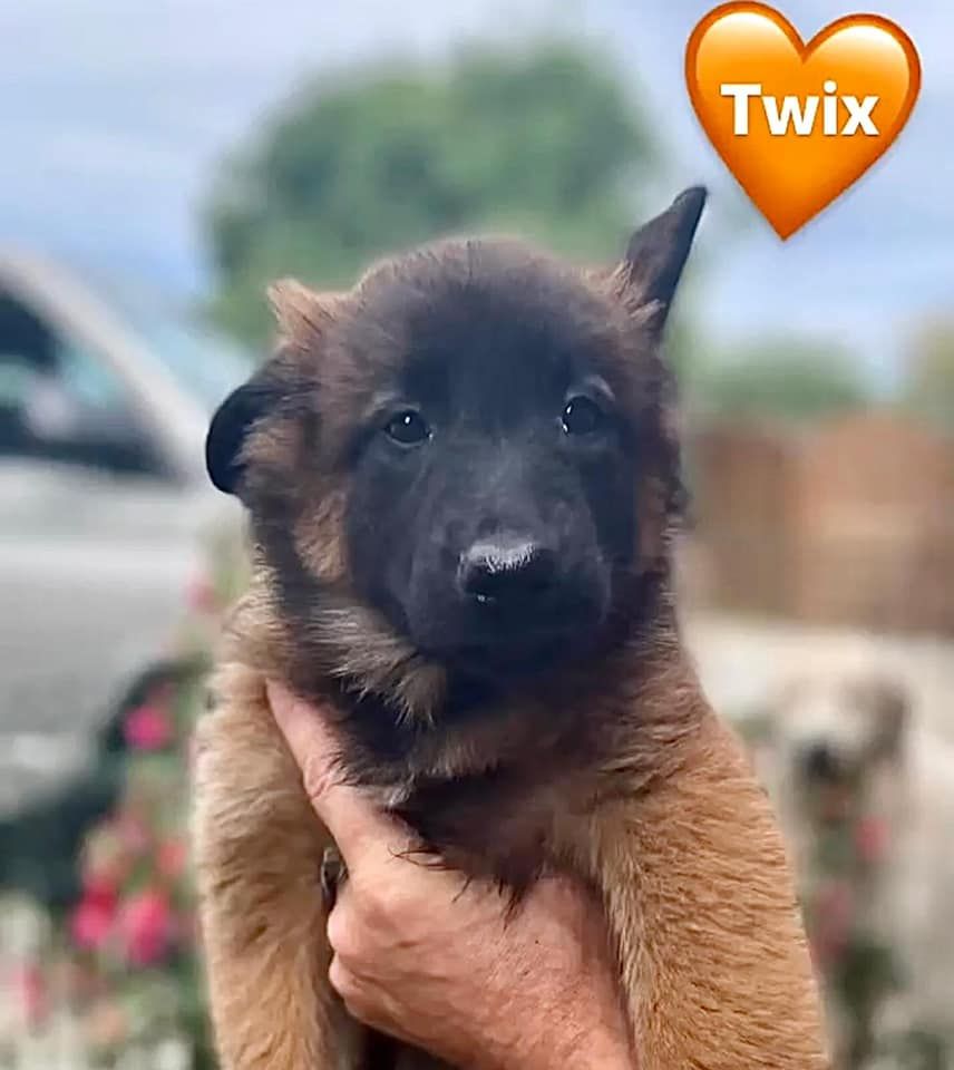 Twix