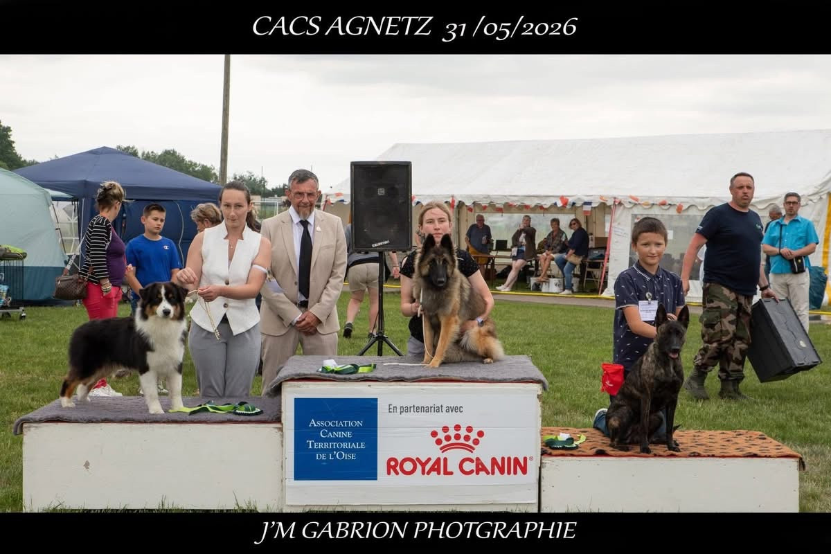 Athena du Val de Pyrène - 1 EXCELLENT CACS-J MEILLEUR JEUNE