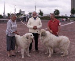 CH. Sherpa de la vallée des pluies - BOB