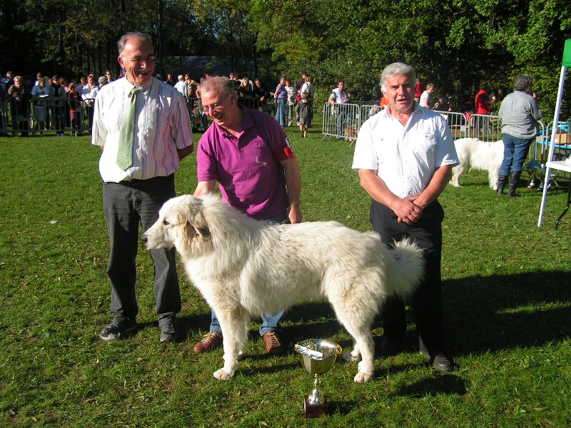 CH. Hluca de la belletière - 1 Exelent