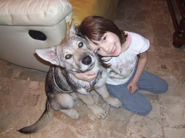 CH. Canens Africae Delsie dryade