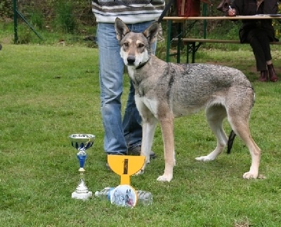 Faiken atomic De louba tar - (COF) 1ère TB