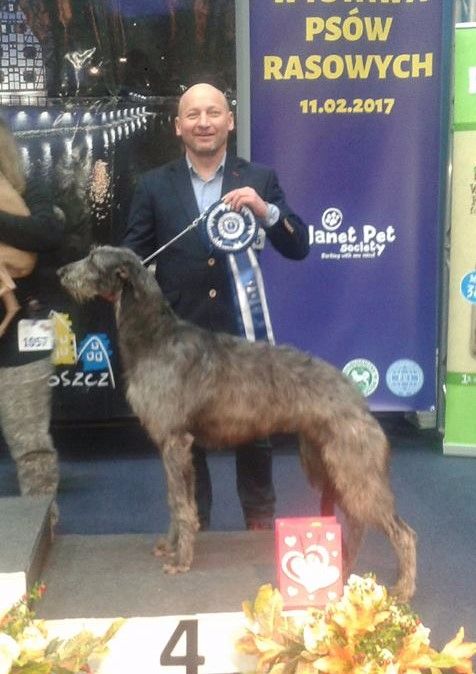 Lilac Wind Mogador to celtic alanda