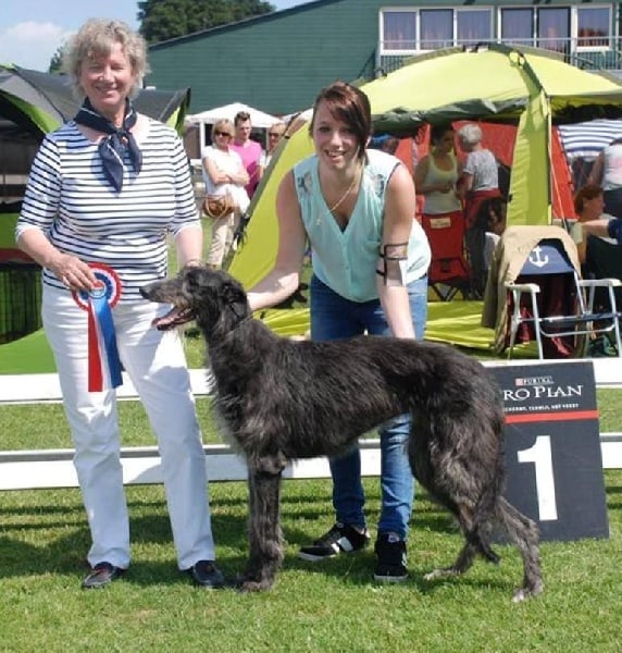 CH. Lilac Wind Jolie môme to pitlochry's