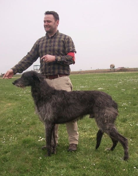 Lilac Wind Idoine - 1 très Bon, classe ouverte