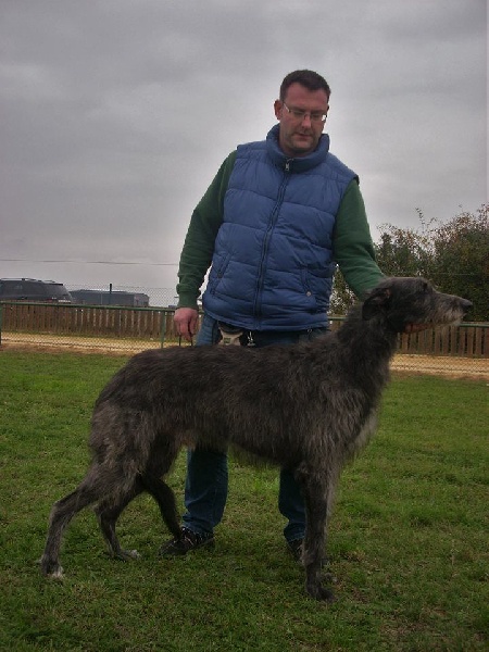 Lilac Wind Idoine - 2nd Excellent R-VDH classe intermédiaire / 2 engagés