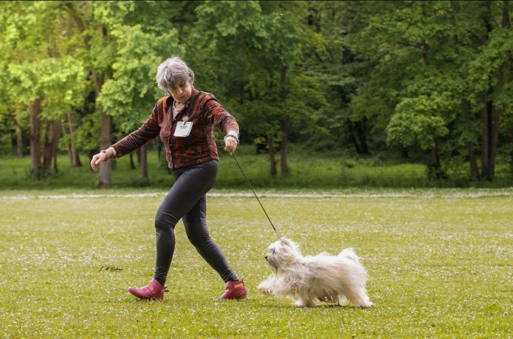 Publication : Coeur De Masai