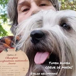 Publication : Coeur De Masai