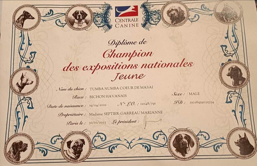 Publication : Coeur De Masai