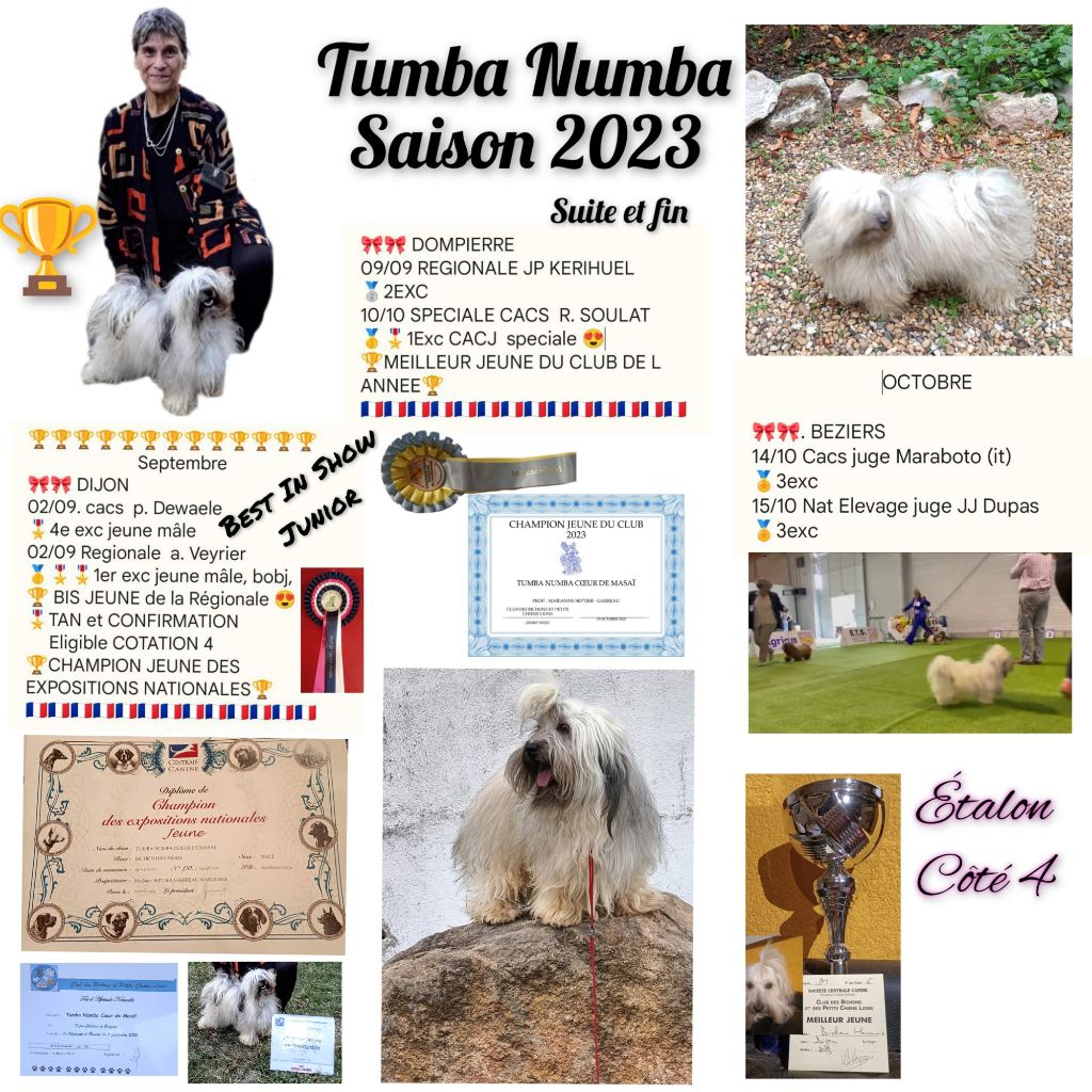 Publication : Coeur De Masai