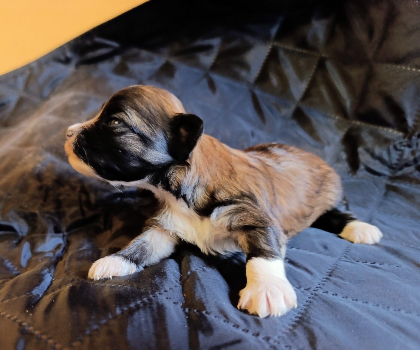Fille rouge charbonnée chaussée de Top of the Pops
