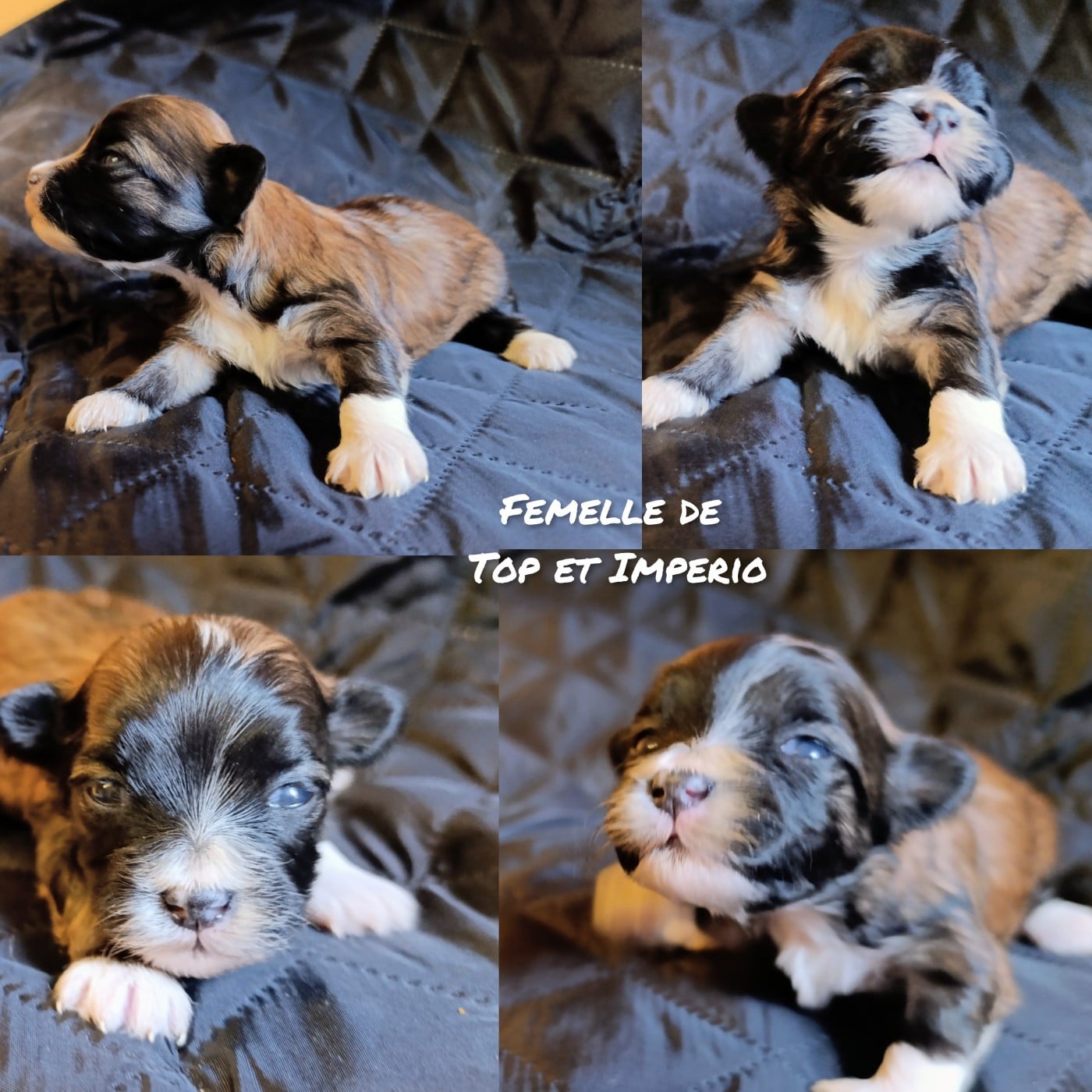 Fille rouge charbonnée chaussée de Top of the Pops