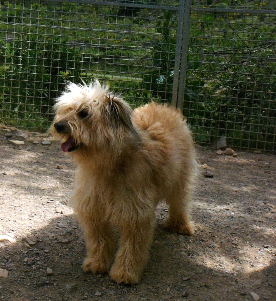 Publication : De la fontegude