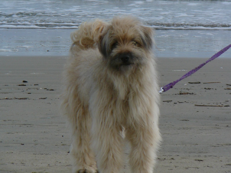 Publication : De la fontegude Auteur : Nous