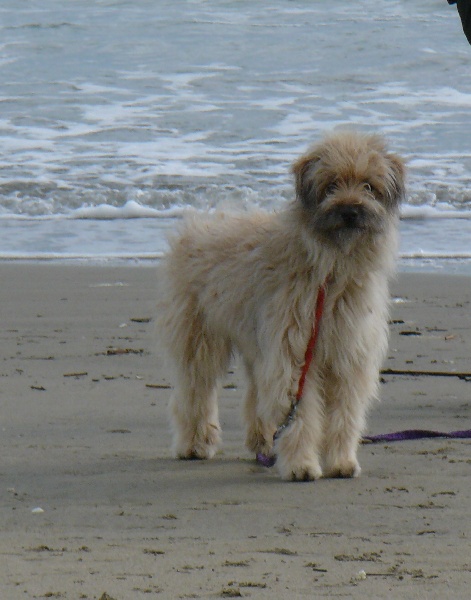 Publication : De la fontegude Auteur : Nous