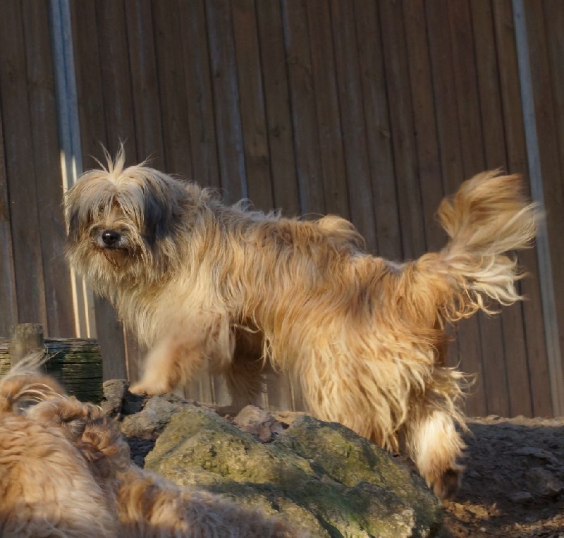 Publication : De la fontegude Auteur : Nous