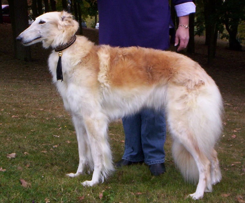 Publication : Du domaine des perles rares Auteur : Christine Challier