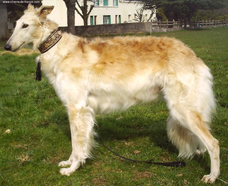 Publication : Du domaine des perles rares Auteur : Christine Challier