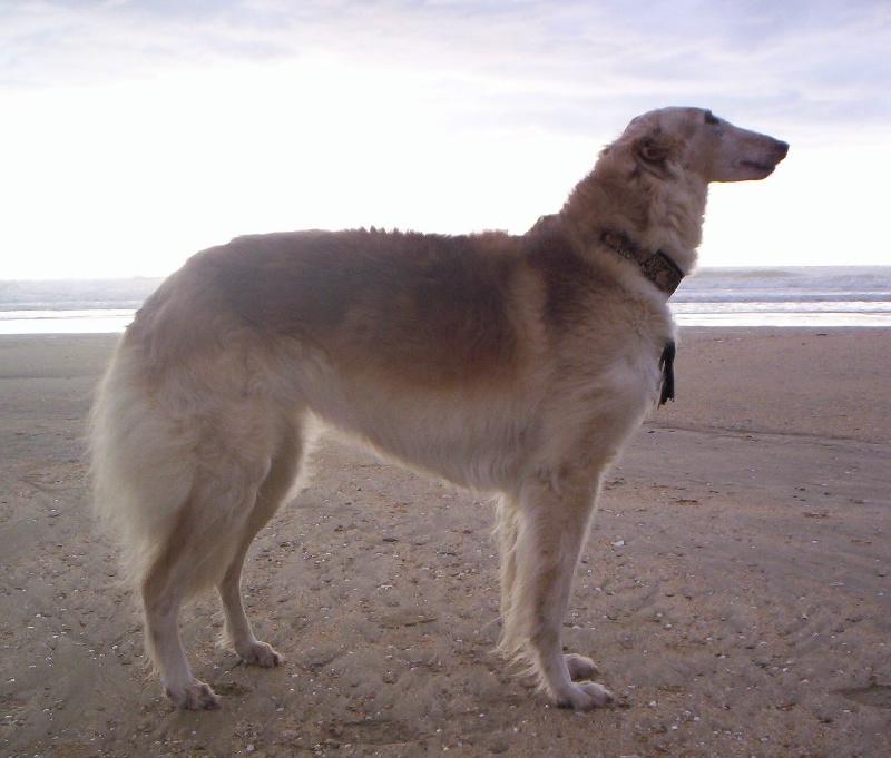 Publication : Du domaine des perles rares Auteur : Christine Challier