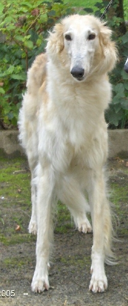 Publication : Du domaine des perles rares Auteur : Christine Challier