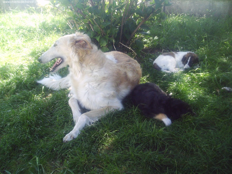 Publication : Du domaine des perles rares Auteur : Christine Challier