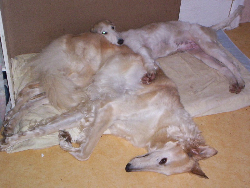 Publication : Du domaine des perles rares Auteur : Christine Challier